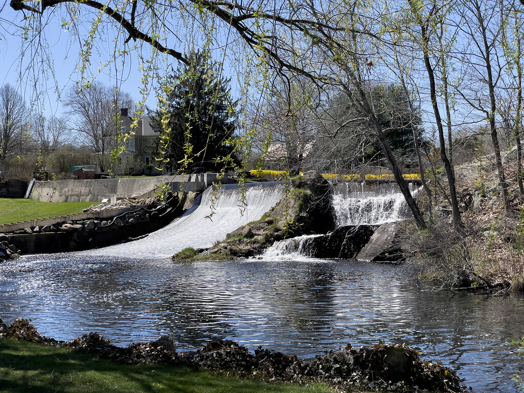 Spring lunch spot by mccarth1