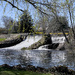 Spring lunch spot