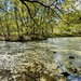 Ducks on the pond by boxplayer