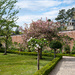 Buscot Gardens