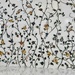 Floral pattern. 