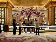20th Apr 2025 - Hotel bar. 