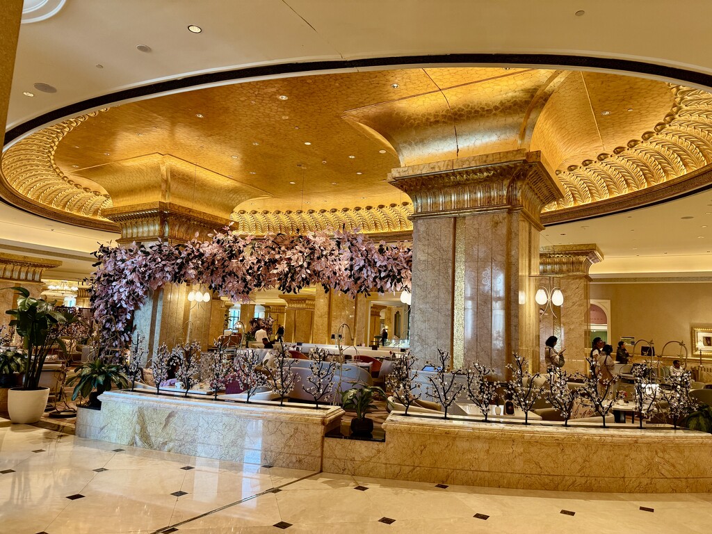 Cafe in the hotel.  by cocobella