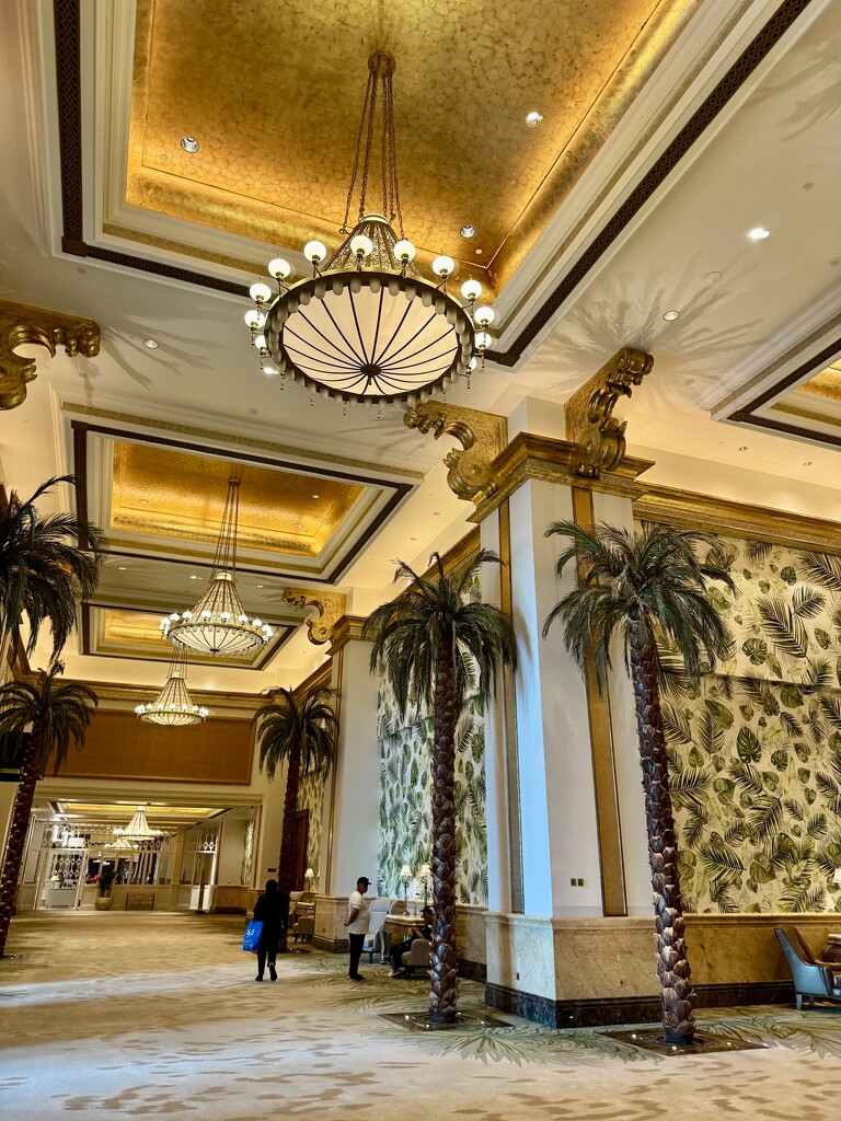 Palmtrees in an hotel.  by cocobella
