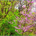 Colour along the Trail