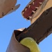 dino apple