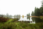 19th Apr 2025 - Shake at 16mm