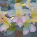Softly pastel