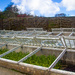 Cold Frames