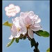 Wishing everyone a Happy Easter 