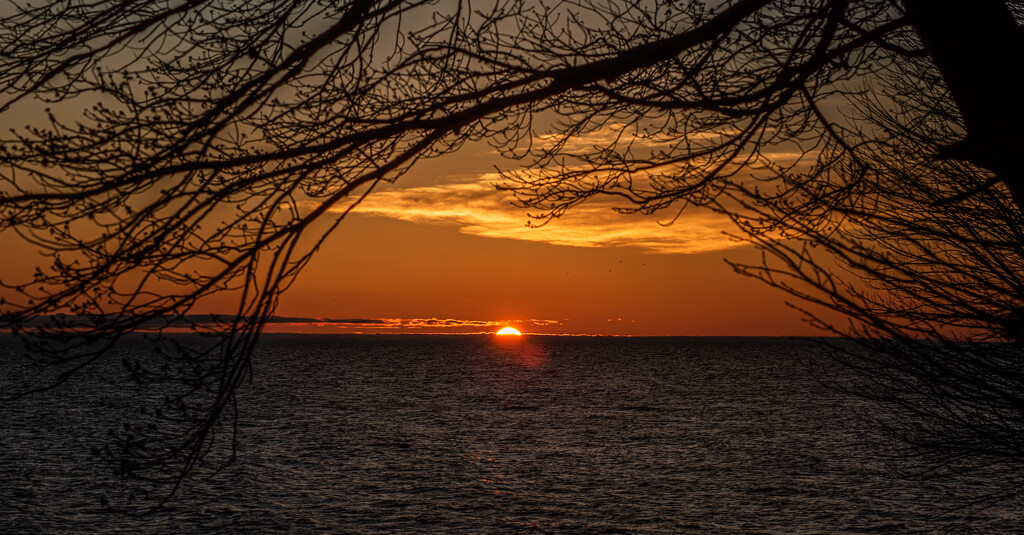 Tequila Sunrise by darchibald