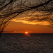 Tequila Sunrise