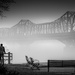 Enjoying the fog