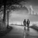 Morning stroll