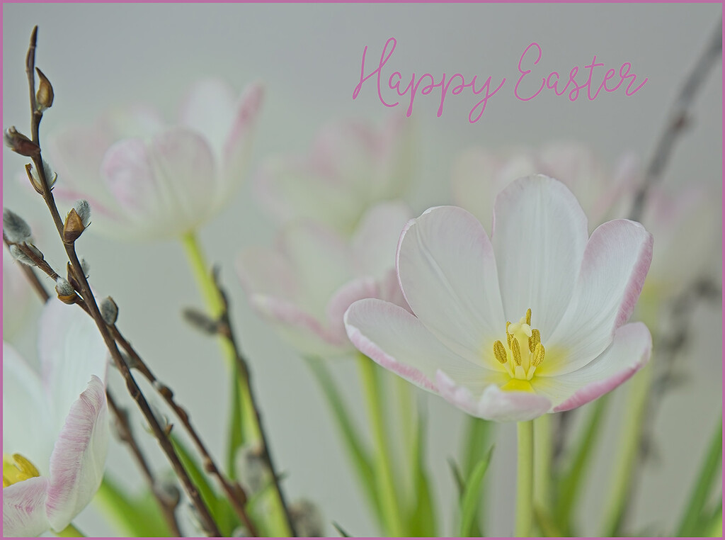 Happy Easter Bouquet by gardencat