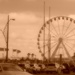 Wheelysepiaed