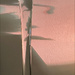 19 - Golden Hour caught Inside