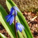 20april