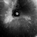 apple noir
