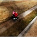 Red riders