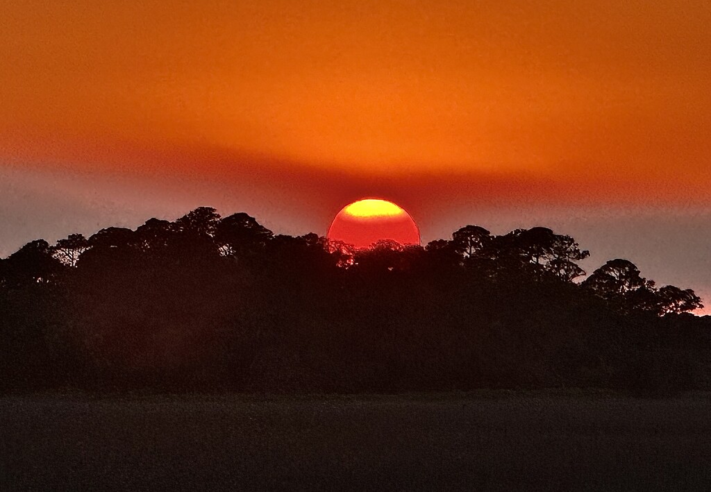 Spectacular sunset over the marsh by congaree