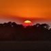 Spectacular sunset over the marsh