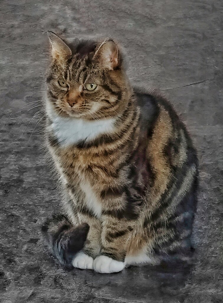 Queen Olive by 30pics4jackiesdiamond
