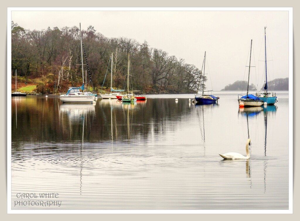Tranquility by carolmw