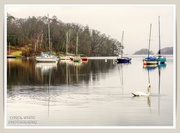 21st Apr 2025 - Tranquility
