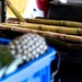 Sugarcane and Pineapple 