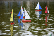 16th Apr 2025 - racing