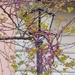 Cheery Cherry Lamp