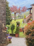 18th Apr 2025 - Tiziana's Place