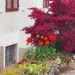 Flowery Window View