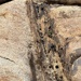 A Rock Waterfall