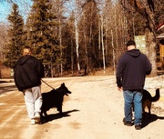 17th Apr 2025 - Walk in the Park