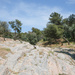 Koile Road