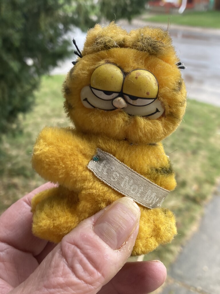 Garfield Outdoors (Single Subject #21) by spanishliz