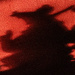 Shadow Traveller