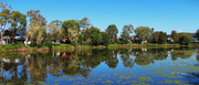 22nd Apr 2025 - The Lake Is As Clear As A Mirror ~