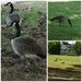 Some Canadians Who Don’t Mind Visiting Us