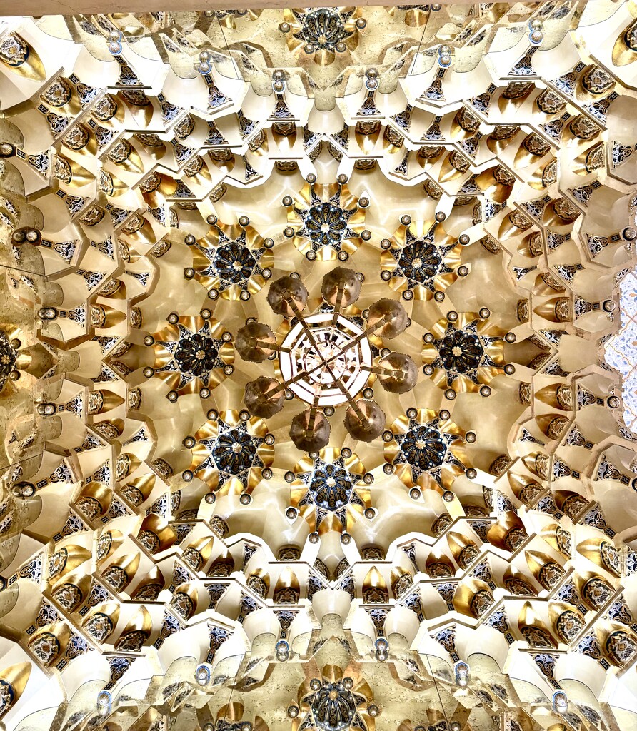 Ceiling.  by cocobella