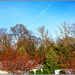 Spring in Wall Township NJ