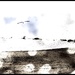 Lonely