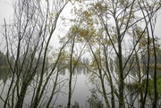22nd Apr 2025 - Drizzly Morning