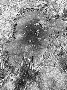 21st Apr 2025 - IMG_6195