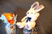 22nd Apr 2025 - Bushy's Candy Misadventure            Day 22