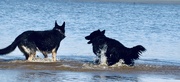 22nd Apr 2025 - Playtime