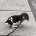 Olive, Waiting