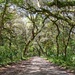 The Scenic Route